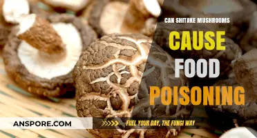 Can Shiitake Mushrooms Cause Food Poisoning? Risks and Safety Tips