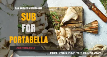 Shiitake vs. Portabella: Can These Mushrooms Be Swapped in Recipes?