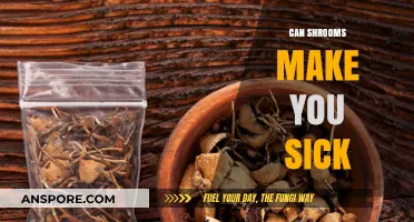 Can Shrooms Make You Sick? Exploring Risks and Side Effects