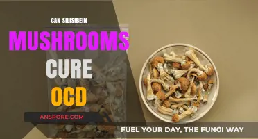 Silicon-Rich Mushrooms: Potential OCD Treatment or Myth?