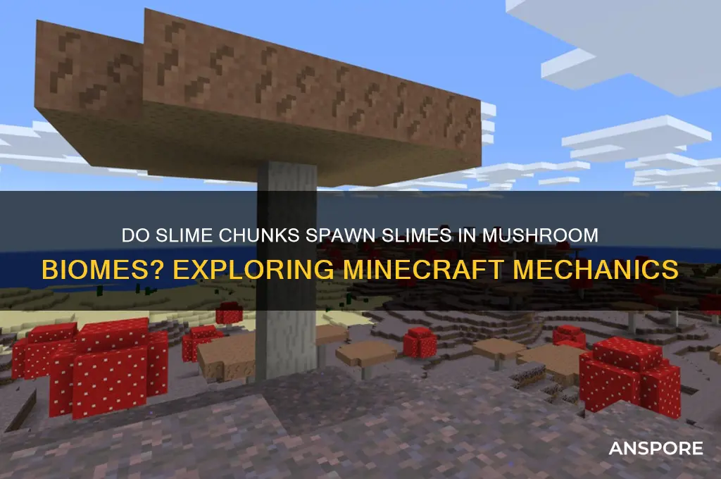 can slime chunks work on mushroom biomes