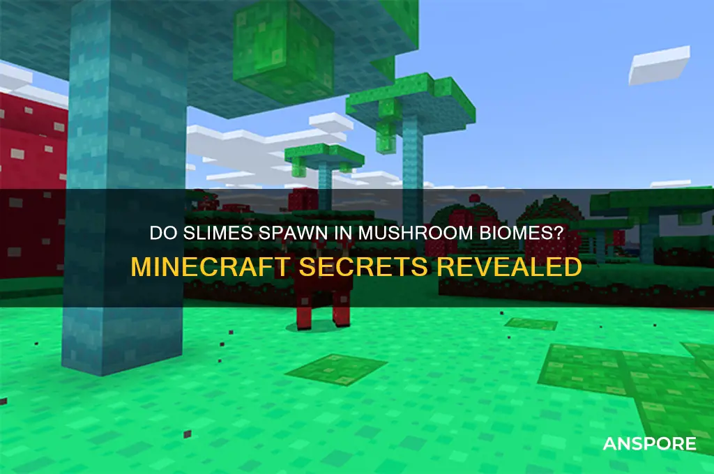 can slimes spawn in mushroom biome
