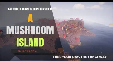 Do Slime Chunks on Mushroom Islands Spawn Slimes in Minecraft?