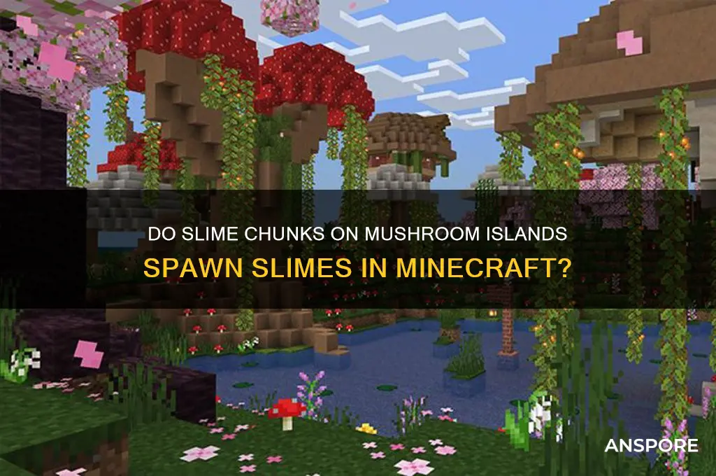 can slimes spawn in slime chunks on a mushroom island