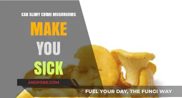 Slimy Crimini Mushrooms: Potential Health Risks and Safe Consumption Tips