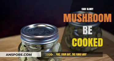 Can Slimy Mushrooms Be Cooked? Safe Preparation Tips Revealed