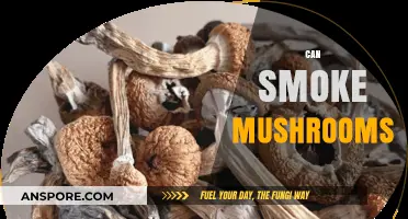 Can You Smoke Mushrooms? Exploring the Risks and Myths