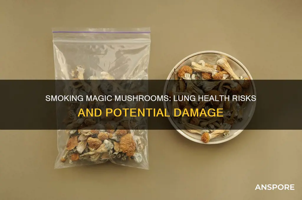 can smoking magic mushrooms damage your lungs
