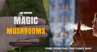 Can Smoking Magic Mushrooms Alter Your Mind? Risks and Realities