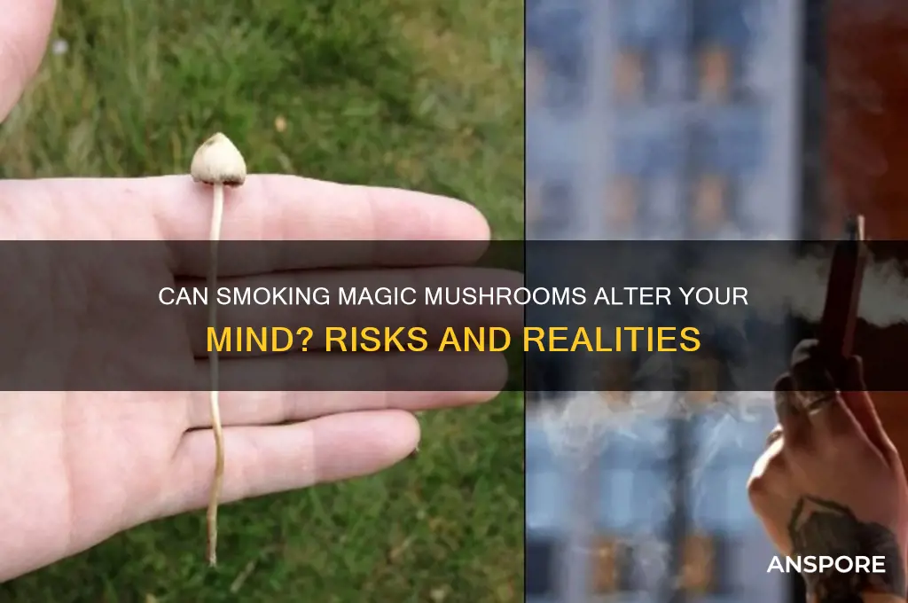 can smoking magic mushrooms