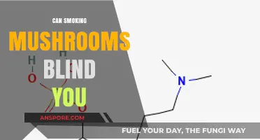 Smoking Mushrooms: Debunking the Myth of Potential Blindness