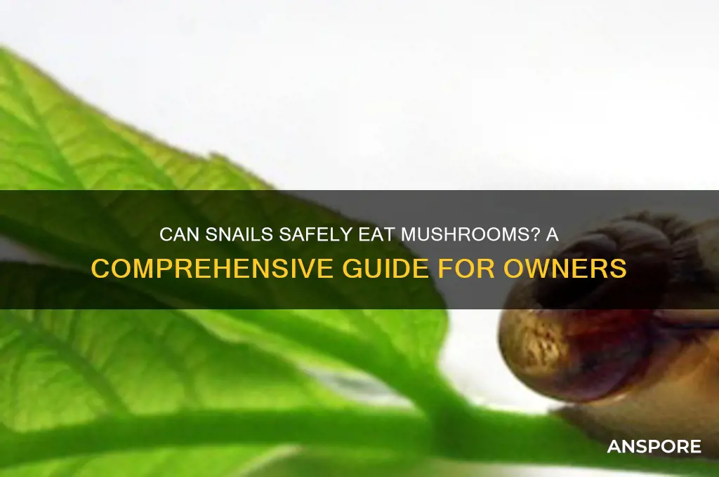 can snails eat mushrooms