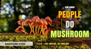 Exploring Psilocybin: Can Sober Individuals Safely Experience Magic Mushrooms?