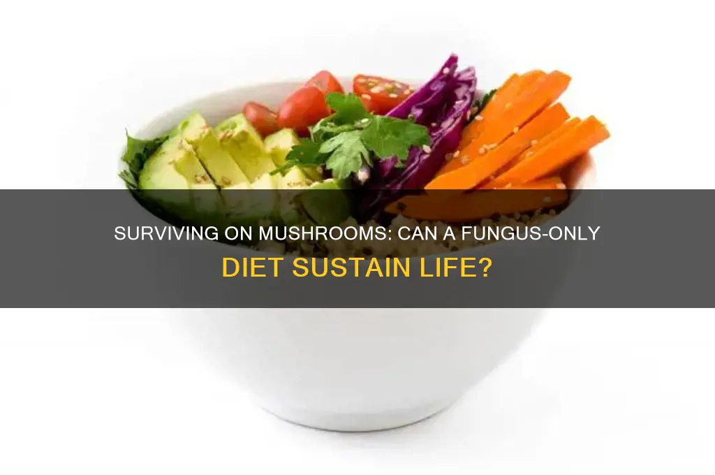 can somebody live off of only mushrooms