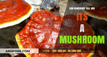 Can Somebody Tell Her? It’s a Mushroom, Not Magic!