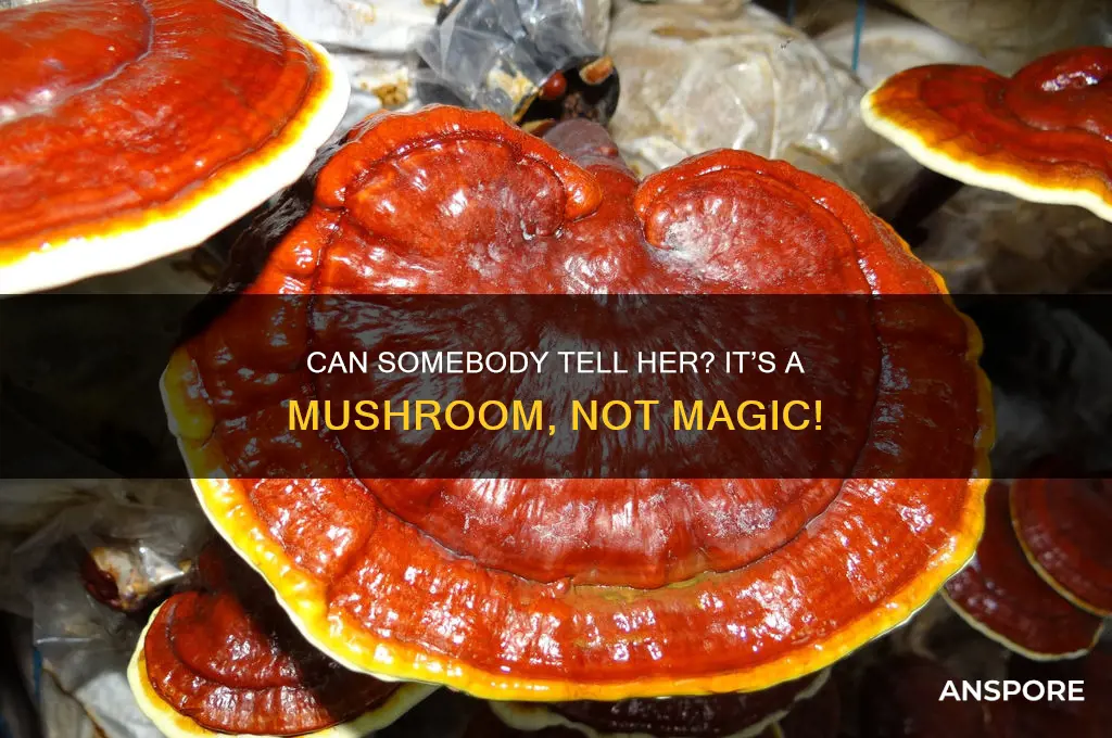 can somebody tell her its a mushroom