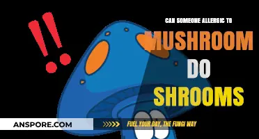 Mushroom Allergies and Shrooms: Safe Exploration or Risky Venture?