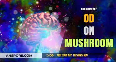Can You Overdose on Magic Mushrooms? Risks and Realities Explained