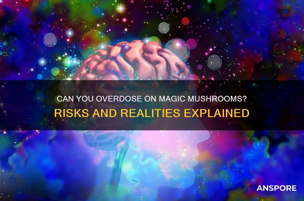 can someone od on mushrooms