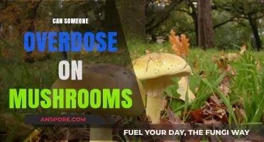Mushroom Overdose: Understanding the Risks and Realities of Psilocybin