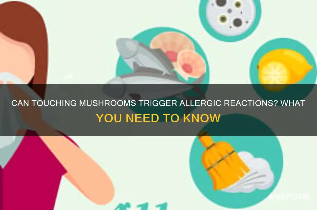 can someone touch mushrooms and be allergic