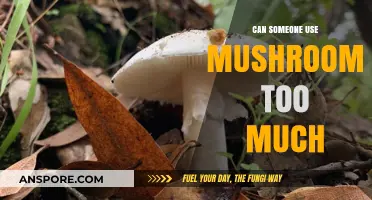 Mushroom Overuse: Risks, Side Effects, and Safe Consumption Limits