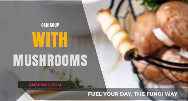 Creamy Mushroom Soup: A Hearty, Healthy, and Delicious Recipe Idea