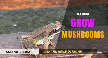 Can Sperm Grow Mushrooms? Unraveling the Myth and Science Behind It