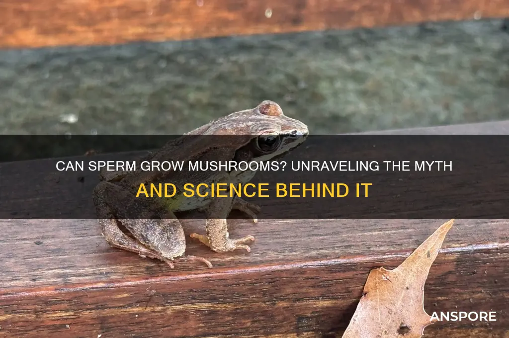 can sperm grow mushrooms