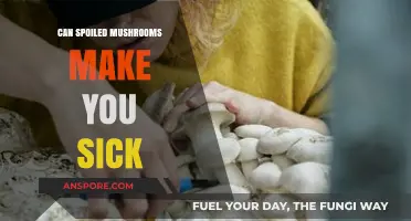 Spoiled Mushrooms: Risks, Symptoms, and How to Stay Safe