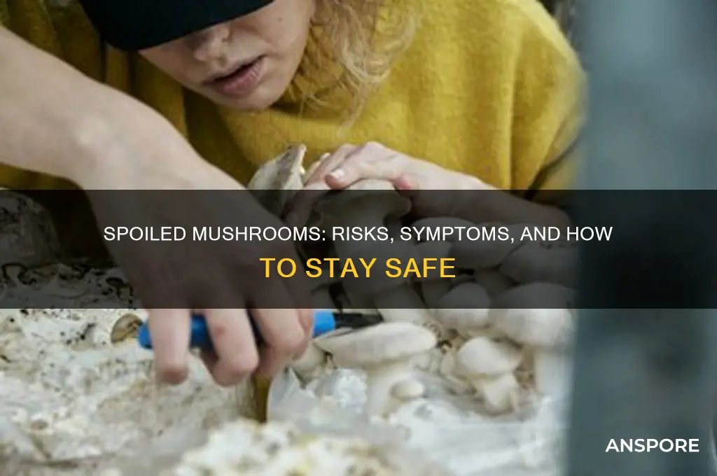can spoiled mushrooms make you sick