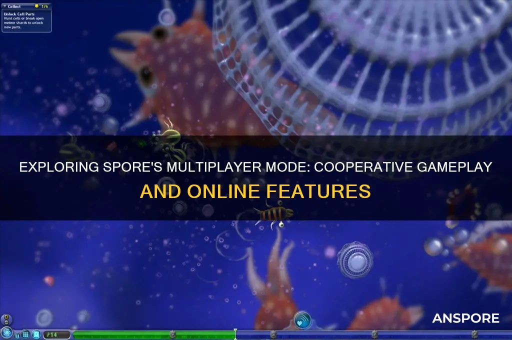 can spore be played in multiplayer
