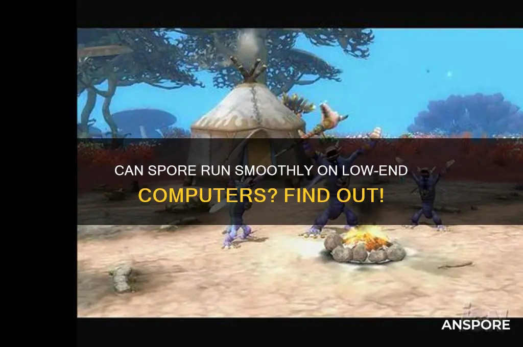 can spore be played on a low end computer