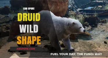 Exploring the Spore Druid's Wild Shape Abilities and Limitations