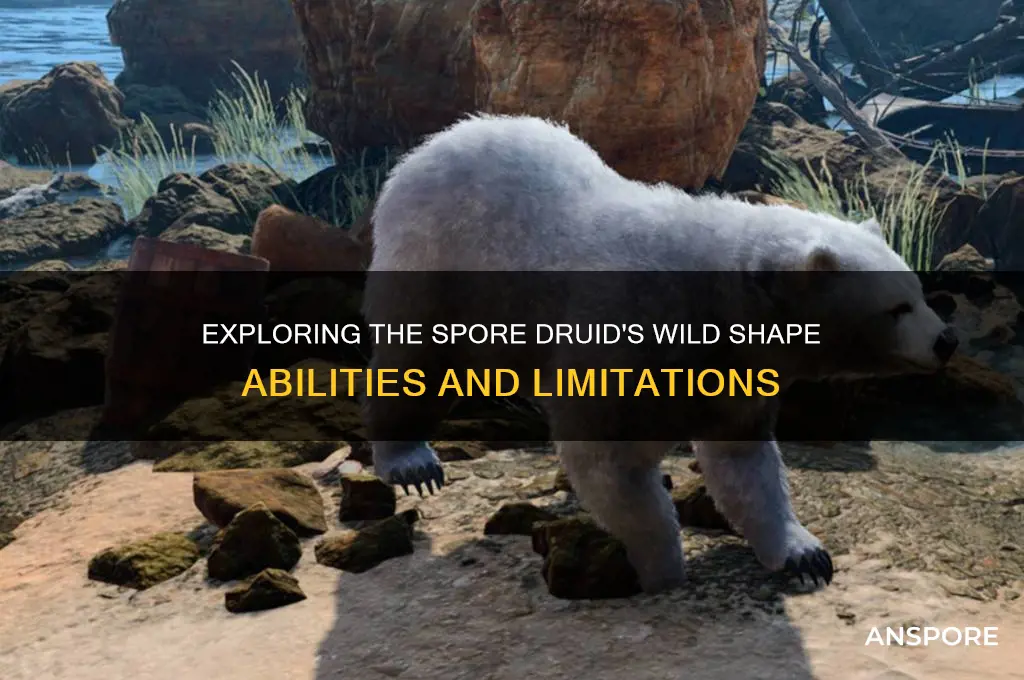 can spore druid wild shape
