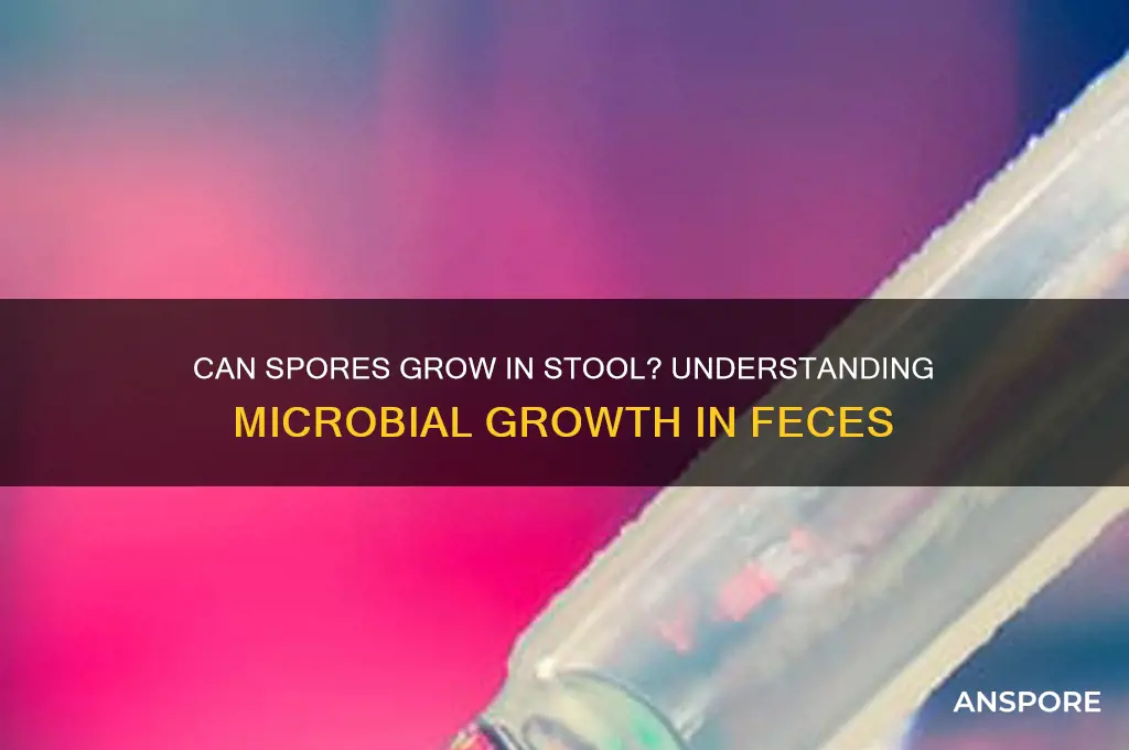 can spore grows in stool