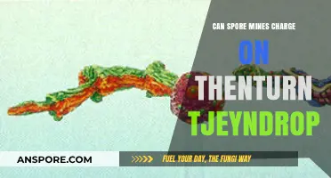 Do Spore Mines Charge on the Turn They Drop? Explained