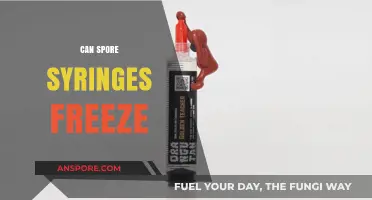 Can Spore Syringes Freeze? Storage Tips and Best Practices