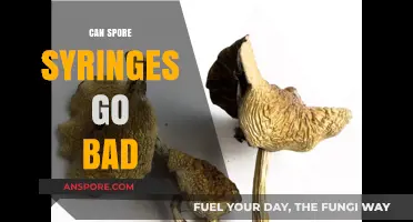 Do Spore Syringes Expire? Shelf Life and Storage Tips
