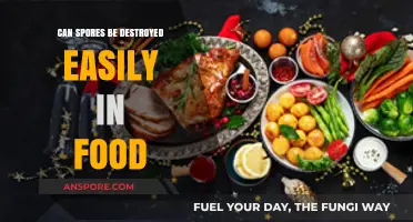 Destroying Spores in Food: Simple Methods or Complex Challenge?