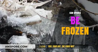 Can Spores Survive Freezing? Exploring Preservation and Viability in Cold Storage