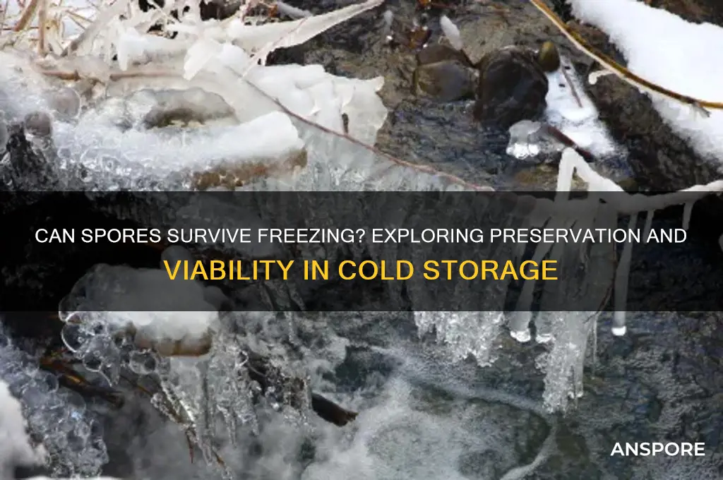 can spores be frozen