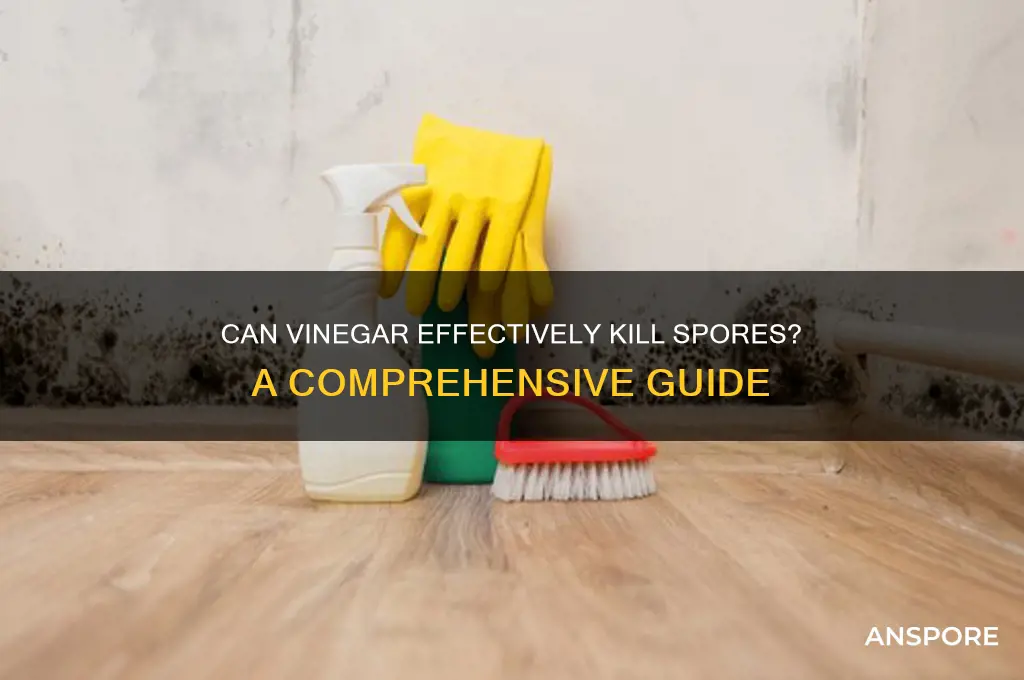 can spores be killed in vinegar