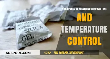 Preventing Spores: Effective Time and Temperature Control Strategies Explained