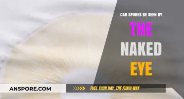 Can You Spot Spores Without a Microscope? The Naked Eye Test