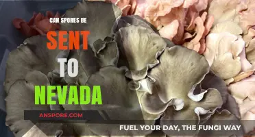 Can Spores Legally Be Mailed to Nevada? Regulations Explained