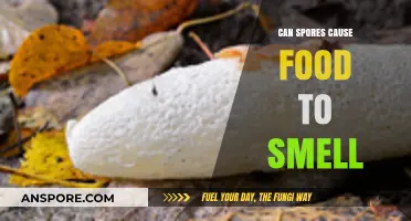 Can Spores Make Food Smell Bad? Understanding the Science