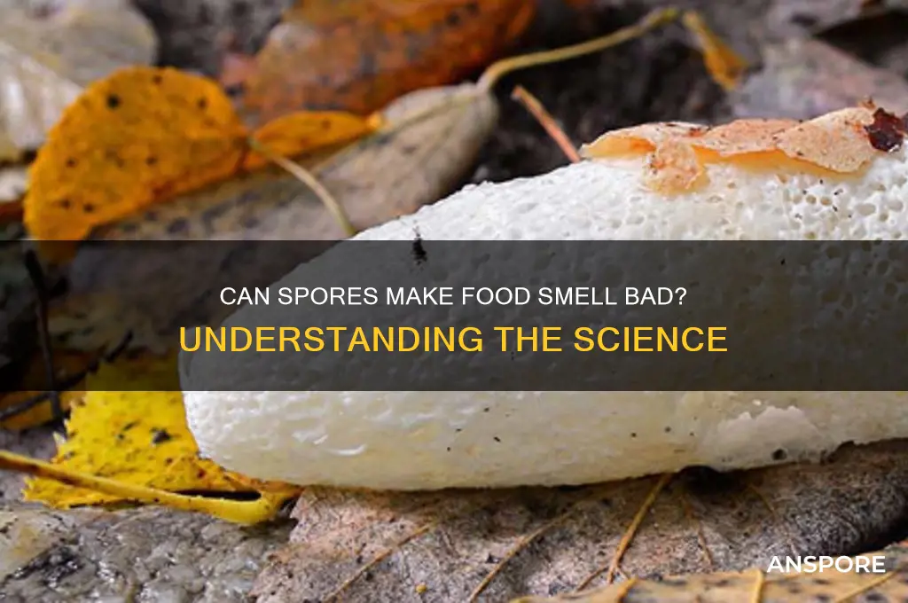 can spores cause food to smell