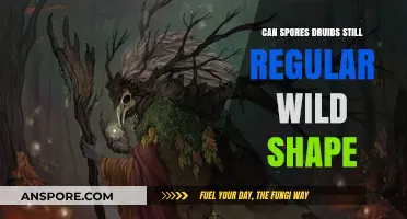 Can Spores Druids Still Use Regular Wild Shape in 5e?