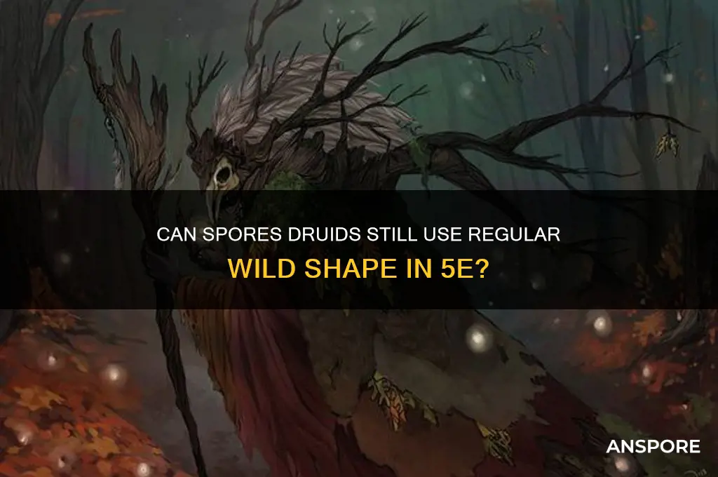 can spores druids still regular wild shape